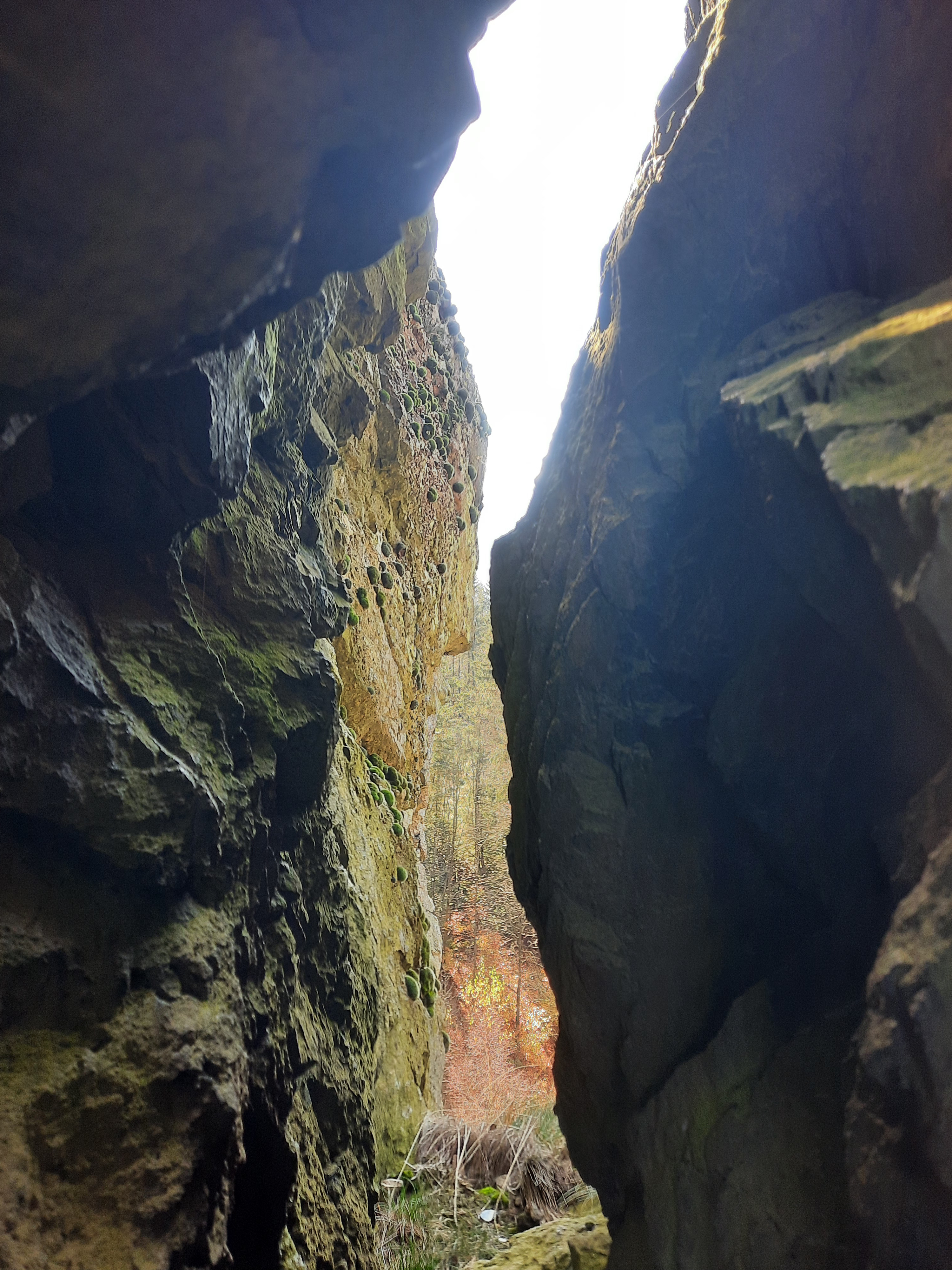 image11